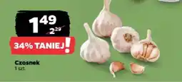 Netto Czosnek oferta