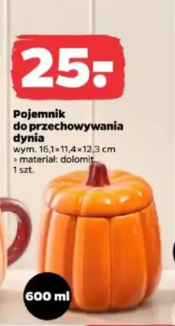 Netto Pojemnik do przechowywania dynia oferta
