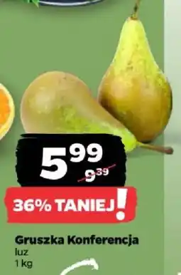 Netto Gruszka Konferencja oferta
