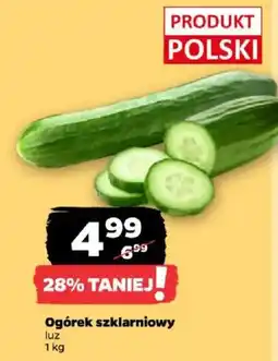 Netto Ogórek szklarniowy oferta