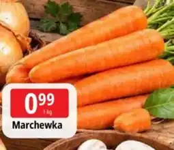 E.Leclerc Marchewka oferta