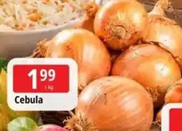 E.Leclerc Cebula oferta