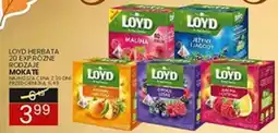 Wafelek Loyd Herbata oferta