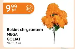Eurocash Cash & Carry Bukiet Goliat oferta