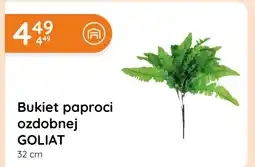 Eurocash Cash & Carry Bukiet Goliat oferta