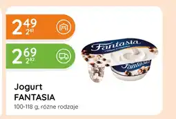 Eurocash Cash & Carry Jogurt Fantasia oferta