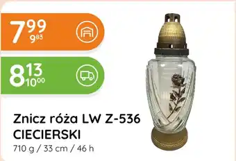 Znicz Ciecierski