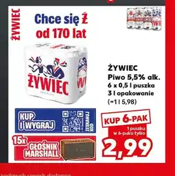Kaufland Piwo Żywiec Premium 6-pak oferta