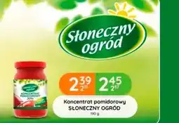 Eurocash Cash & Carry Koncentrat pomidorowy Słoneczny ogród oferta