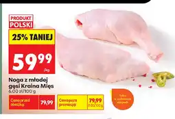 Biedronka Noga z młodej gęsi Kraina Mięs oferta