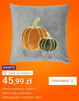 Allegro Poszewka welurowa z haftowanym motywem dyni oferta
