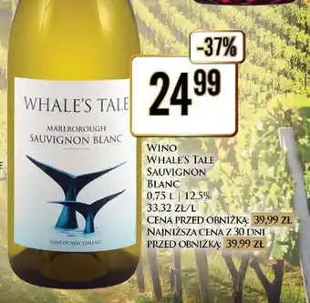 Dino Wino białe Whale's Tale Sauvignon Blanc oferta