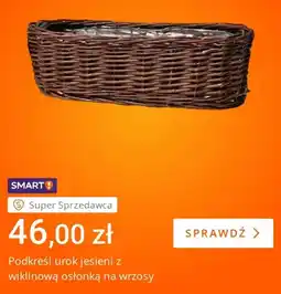 Allegro Wiklinowa osłonka na wrzosy oferta