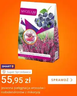 Allegro Jesienna pielęgnacja wrzosów i rododendronów z mikoryzą Mycelium oferta