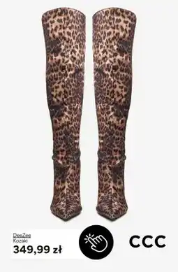 CCC Kozaki DeeZee oferta