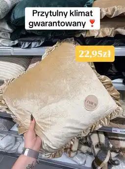 Action Poduszka ozdobna z falbaną Cushion 45 x 45 cm oferta