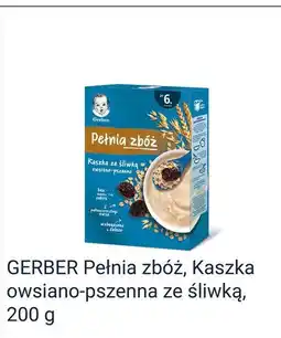 Rossmann GERBER Pełnia zbóż, Kaszka owsiano-pszenna ze śliwką oferta