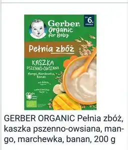 Rossmann GERBER ORGANIC Pełnia zbóż, kaszka pszenno-owsiana, mango, marchewka, banan oferta
