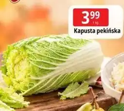 E.Leclerc Kapusta pekińska oferta