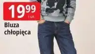 E.Leclerc Bluza chłopięca oferta