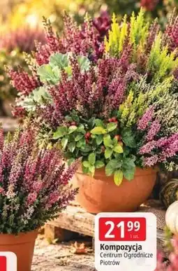 E.Leclerc Kompozycja Centrum Ogrodnicze Piotrów oferta