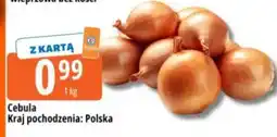 E.Leclerc Cebula oferta