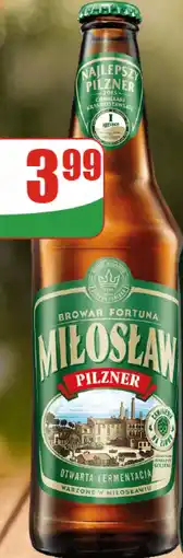 Dino Piwo Miłosław Pilzner oferta