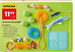 Biedronka Akcesoria dla psa Mata oferta