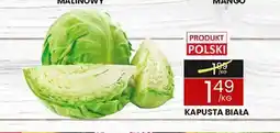 Wafelek Kapusta biała oferta