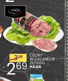 Wafelek Ozory w galarecie Haga oferta