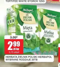 Bingo Herbata Zielnik Polski melisa Herbapol oferta