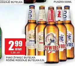 Bingo Piwo Żywiec oferta