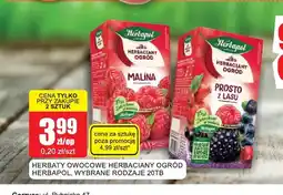 Bingo Herbata owocowa Herbaciany Ogród Prosto z lasu Herbapol oferta