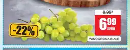 Bingo Winogrona białe oferta