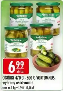 Sklepy Doroty Ogórki Vortumnus oferta