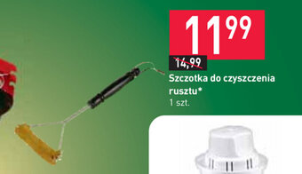 Stokrotka Szczotka do czyszczenia rusztu oferta