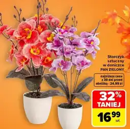 Carrefour Storczyk sztuczny w doniczce PAN ZIELONY oferta