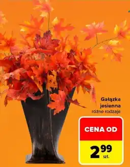 Carrefour Gałązka jesienna oferta