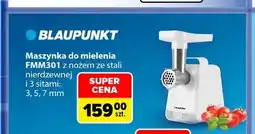 Carrefour Maszynka do mielenia FMM301 z nożem ze stali nierdzewnej i 3 sitami Blaupunkt oferta