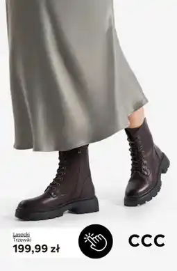 CCC Trzewiki Lasocki oferta