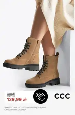 CCC Trzewiki Lasocki oferta