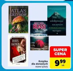 Carrefour Książka dla dorosłych oferta