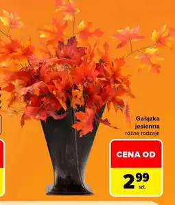 Carrefour Gałązka jesienna oferta