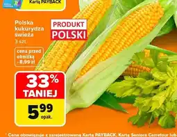 Carrefour Kukurydza świeża polska 3-pak oferta