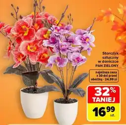 Carrefour Storczyk sztuczny w doniczce PAN ZIELONY oferta