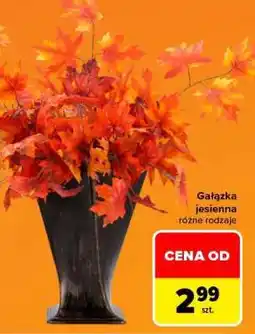 Carrefour Gałązka jesienna oferta