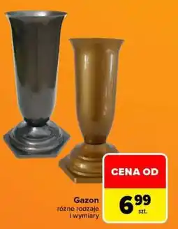 Carrefour Gazon oferta
