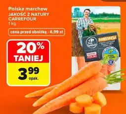 Carrefour Polska marchew JAKOŚĆ Z NATURY CARREFOUR oferta