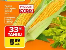 Carrefour Polska kukurydza świeża oferta