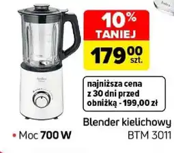 Carrefour Blender kielichowy oferta